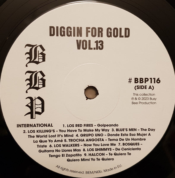Various - Diggin' For Gold Vol 13 (A Collection Of Demented 60' R&B/Punk & Mesmerizing Pop.) | Mint (M) Mint (M)-