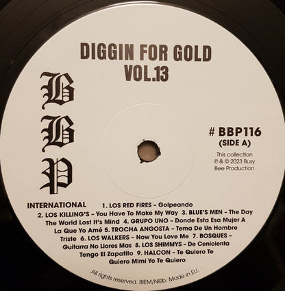 Various - Diggin' For Gold Vol 13 (A Collection Of Demented 60' R&B/Punk & Mesmerizing Pop.) | Mint (M) Mint (M)-