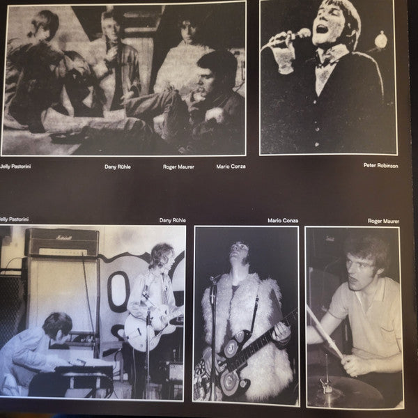 The Shiver - Walpurgis (VINYL) | Mint (M) Mint (M)-