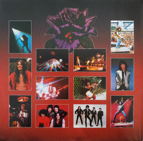 Black Rose (A Rock Legend)(VINYL) |-