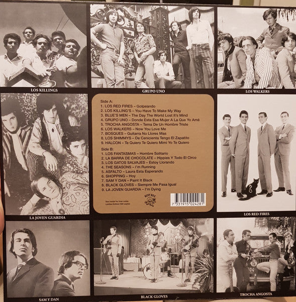 Various - Diggin' For Gold Vol 13 (A Collection Of Demented 60' R&B/Punk & Mesmerizing Pop.) | Mint (M) Mint (M)-