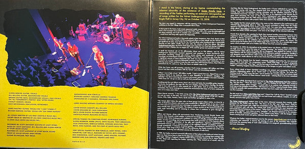 The Feelies - Some Kinda Love Performing The Music Of The Velvet Underground | Mint (M) Mint (M)-