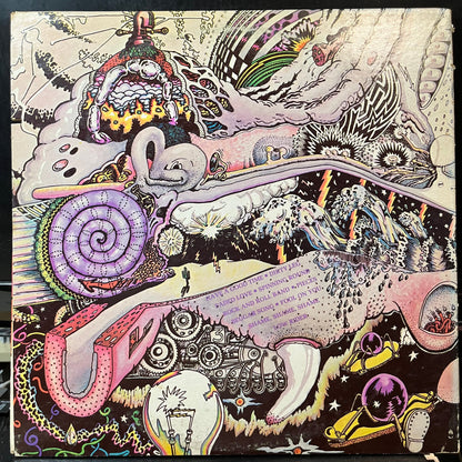 Wet Willie - Wet Willie (VINYL LP CAPRICORN SD 861 1971) | USED Near Mint (NM or M-) Excellent (EX)--