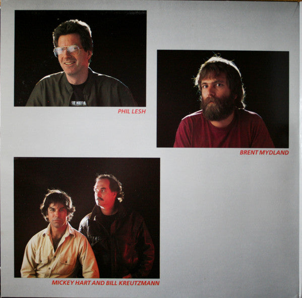 The Grateful Dead - In The Dark (VINYL) | Excellent+ (EX+) Excellent (EX)-