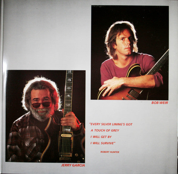 The Grateful Dead - In The Dark (VINYL) | Excellent+ (EX+) Excellent (EX)-