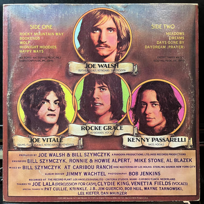 Joe Walsh - The Smoker You Drink, The Player You Get (VINYL LP ABC DUNHILL DSX-50140 1974) | USED Excellent (EX) Excellent (EX)--