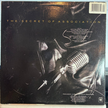 Paul Young - The Secret Of Association (VINYL) | Excellent (EX) Excellent (EX)--