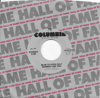 Blue Öyster Cult - (Don't Fear) The Reaper (7" VINYL) | Excellent (EX) Excellent (EX)-