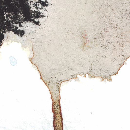 The Telescopes - The Living Things / Von Trier Flakes | Excellent (EX) Near Mint (NM)--