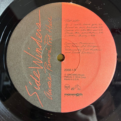 Sidewinders (2) - Auntie Ramos' Pool Hall (VINYL) | Excellent (EX) Excellent (EX)--