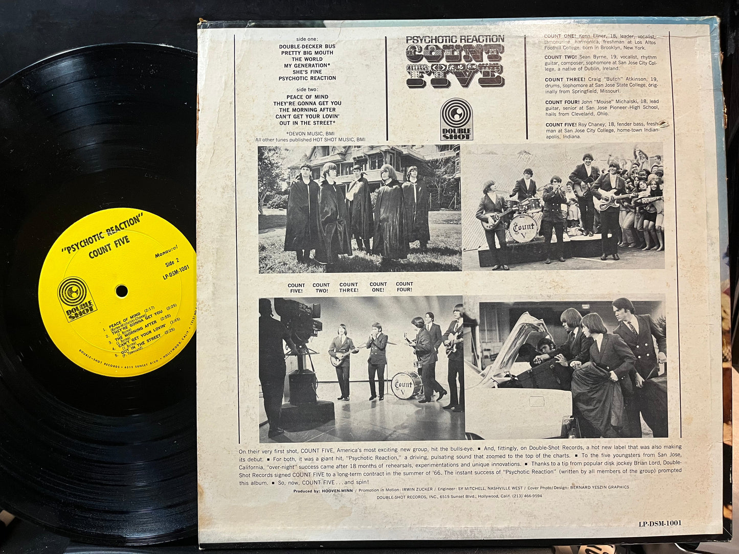 Count Five - Psychotic Reaction (VINYL)*CRACKED* | Near Mint- (NM-) Excellent (EX)--