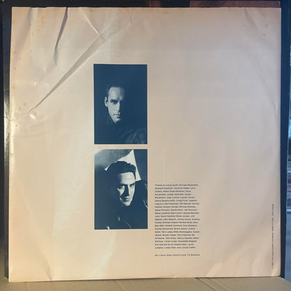 Don Henley - Building The Perfect Beast (VINYL) | Near Mint- (NM-) Excellent (EX)-