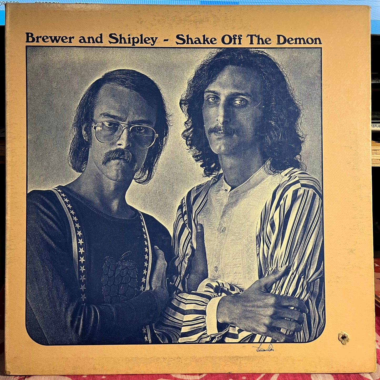 Brewer And Shipley - Shake Off The Demon *SCRANTON* | Near Mint (NM) Very Good Plus (VG+)-