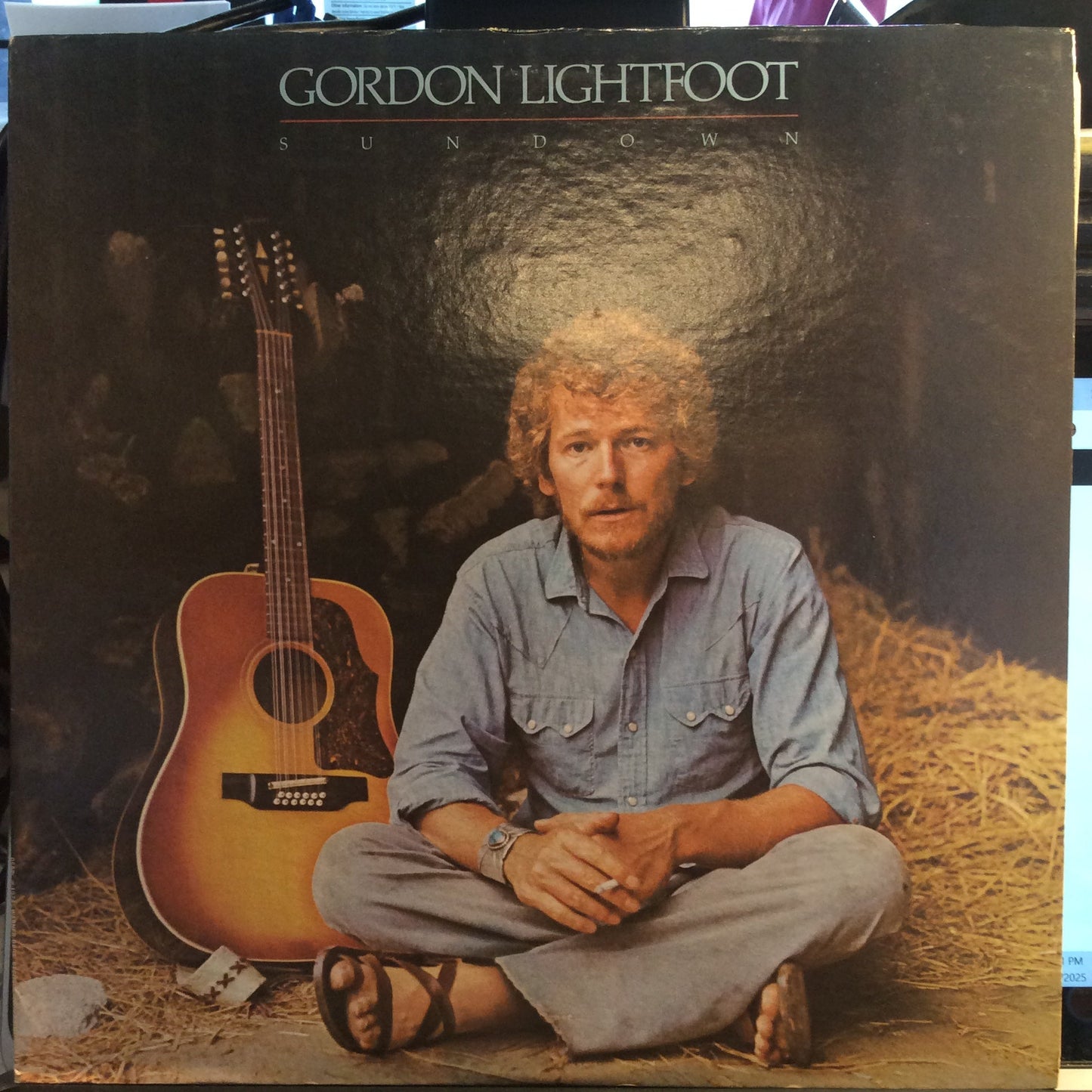 Gordon Lightfoot - Sundown (VINYL) | Near Mint- (NM-) Excellent+ (EX+)-