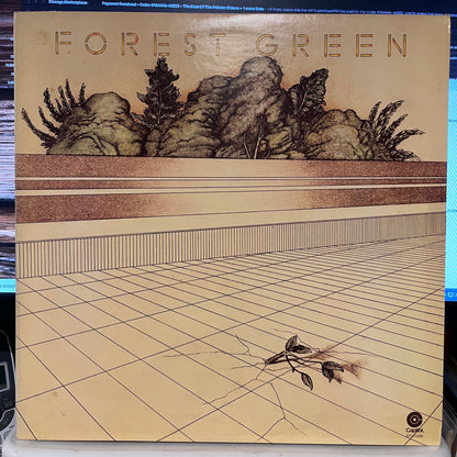 Forest Green - Forest Green | Near Mint (NM) Near Mint (NM)--