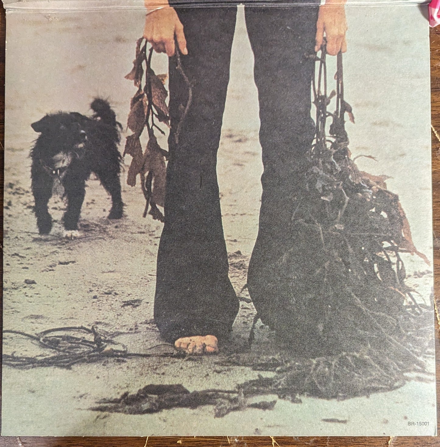Claudine Longet - Let's Spend The Night Together | Near Mint (NM) Excellent (EX)-