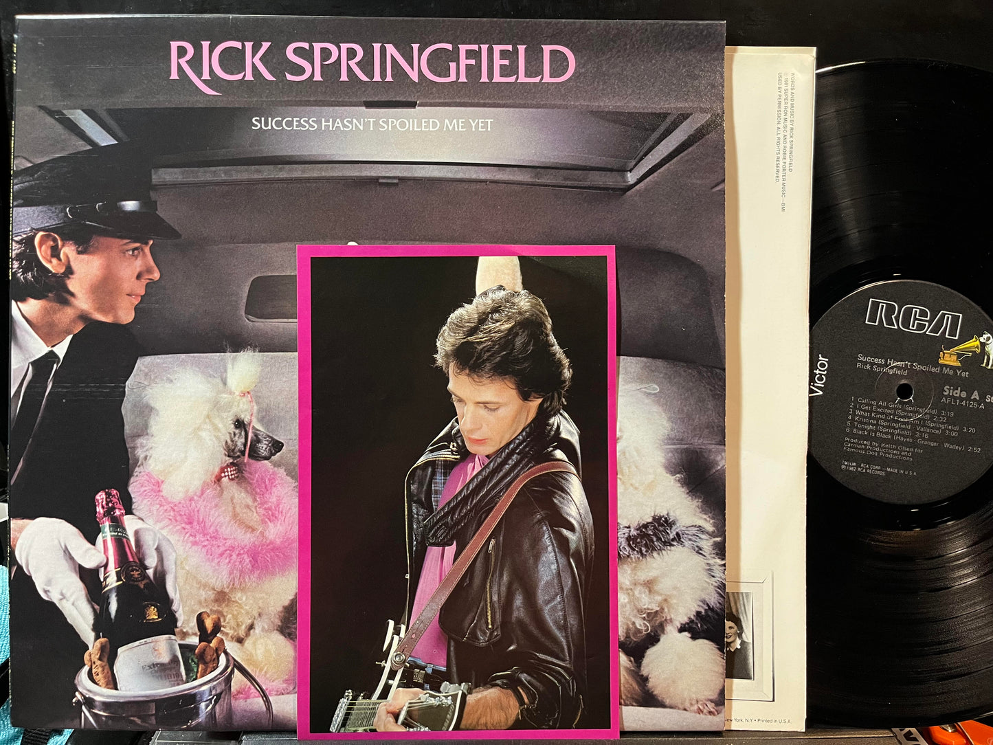 Rick Springfield - Success Hasn't Spoiled Me Yet (VINYL) | Near Mint (NM or M-) Near Mint (NM)-