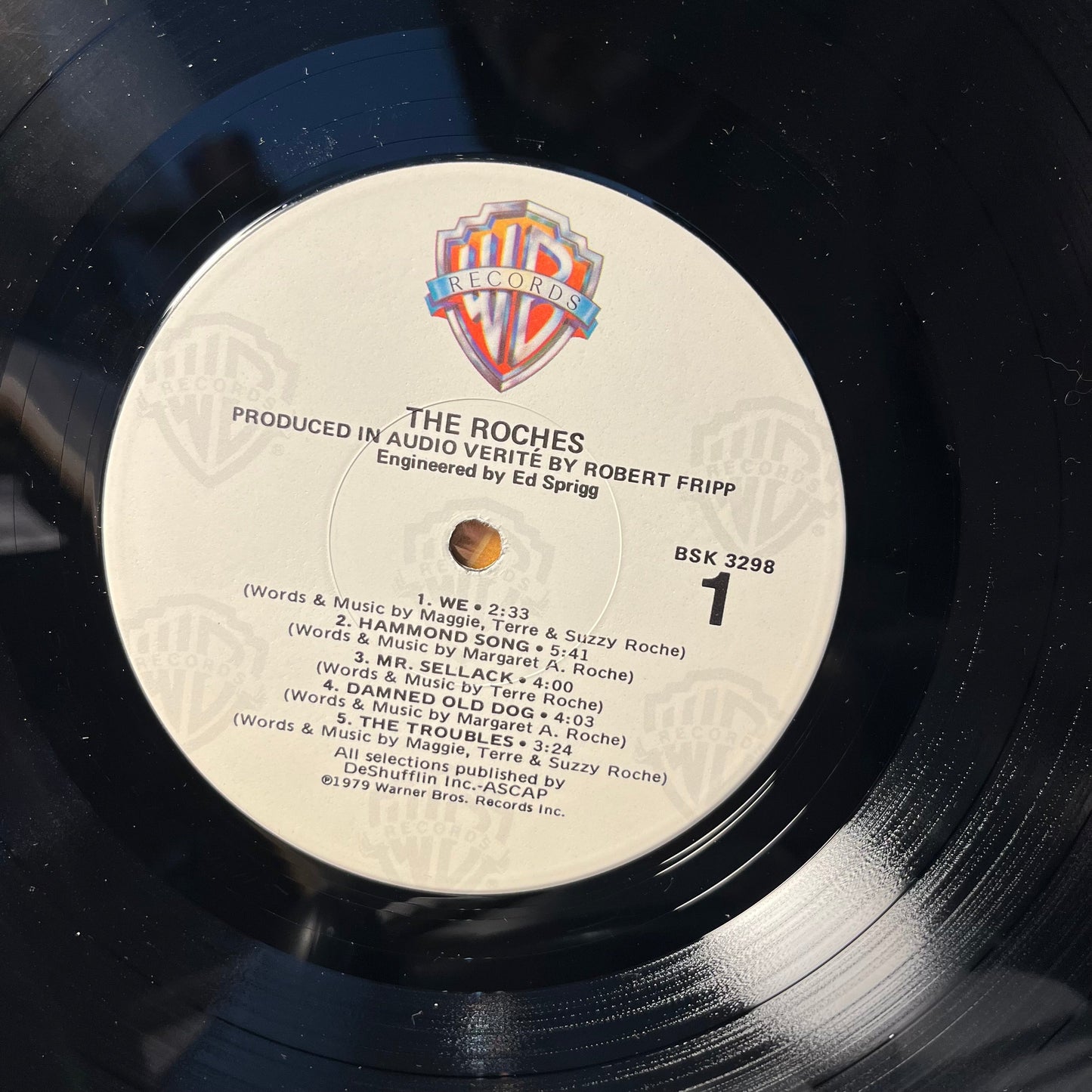 The Roches - The Roches (VINYL) | Near Mint (NM) Near Mint (NM)-