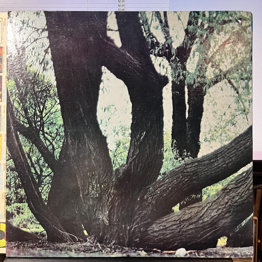 Fat Mattress - Fat Mattress (VINYL) | Near Mint (NM) Near Mint (NM)--