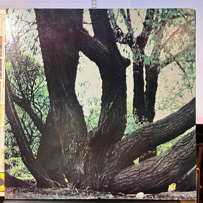 Fat Mattress - Fat Mattress (VINYL) | Near Mint (NM) Near Mint (NM)--