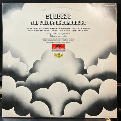 The Velvet Underground - Squeeze (IMPORT VINYL LP POLYDOR 2383 180 1973) | Near Mint (NM or M-) Excellent (EX)-