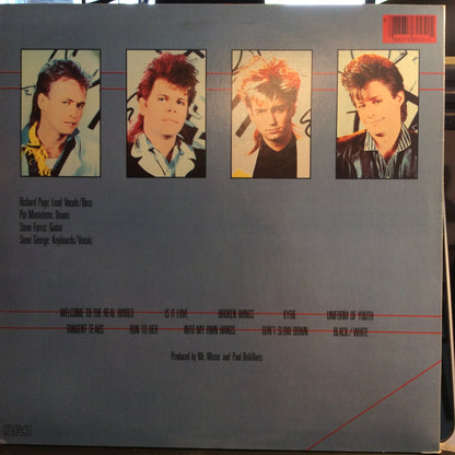 Mr. Mister - Welcome To The Real World (VINYL) | Near Mint (NM) Near Mint (NM)-