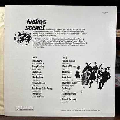 Various - Today's Scene! (VINYL) | Near Mint (NM) Near Mint (NM)-