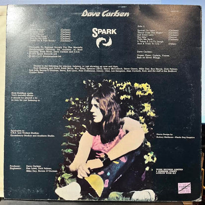 Dave Carlsen - Pale Horse (VINYL) | Near Mint (NM) Near Mint- (NM-)--