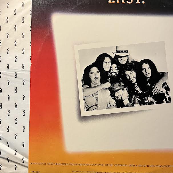 Lynyrd Skynyrd - Skynyrd's First And... Last (VINYL) | Near Mint (NM) Near Mint (NM)-