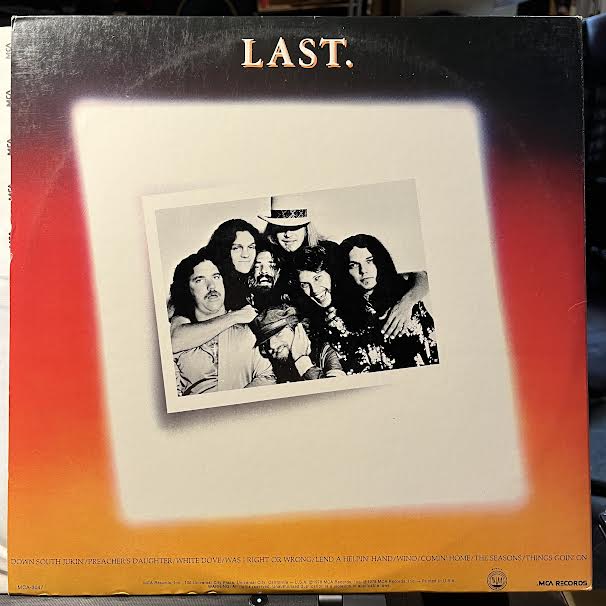 Lynyrd Skynyrd - Skynyrd's First And... Last (VINYL) | Near Mint (NM) Near Mint (NM)-