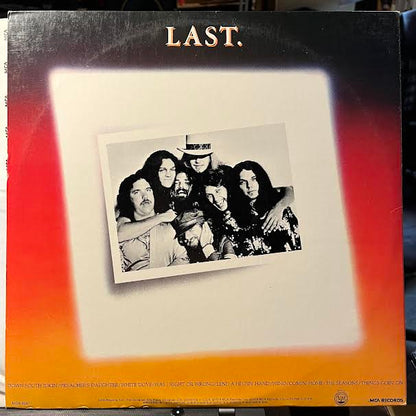 Lynyrd Skynyrd - Skynyrd's First And... Last (VINYL) | Near Mint (NM) Near Mint (NM)-