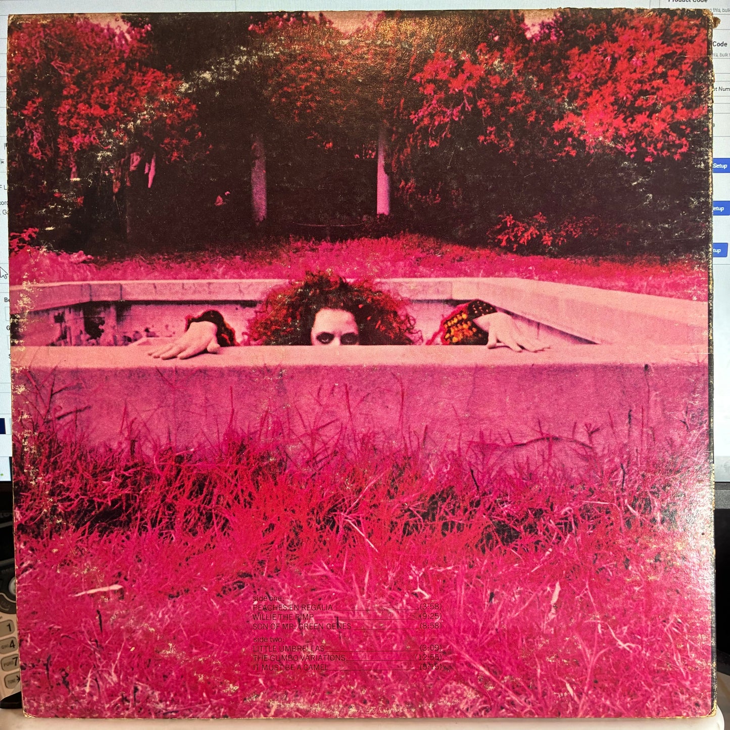 Frank Zappa - Hot Rats (VINYL) |--