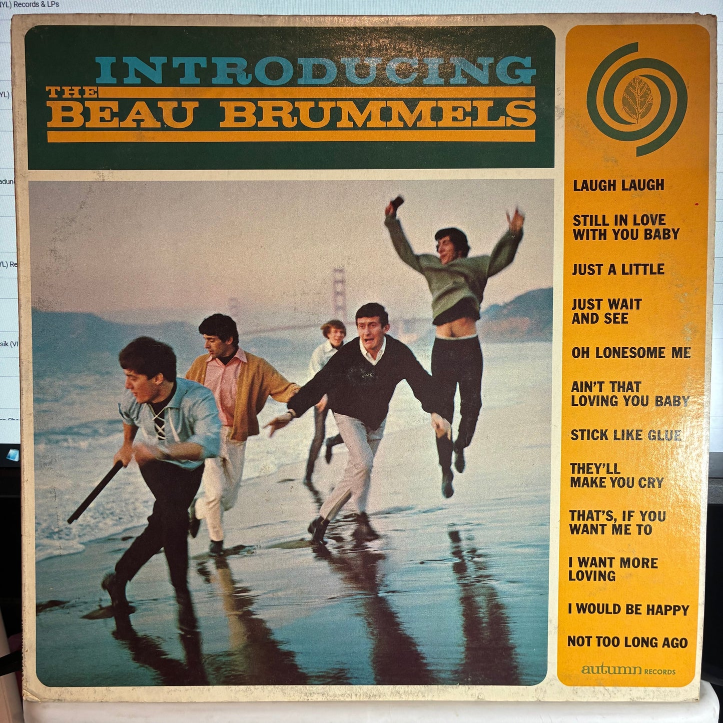 The Beau Brummels - Introducing The Beau Brummels (VINYL) | Very Good Plus (VG+) Very Good Plus (VG+)--