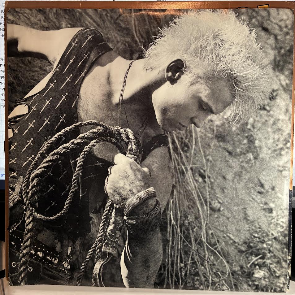 Billy Idol - Whiplash Smile (VINYL) | Very Good Plus (VG+) Excellent+ (EX+)--
