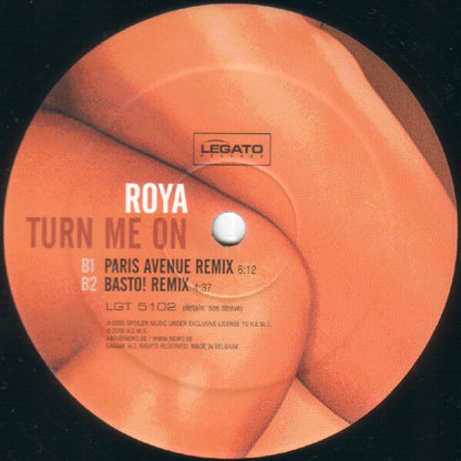 Roya - Turn Me On (VINYL) | Near Mint (NM) Near Mint (NM)-