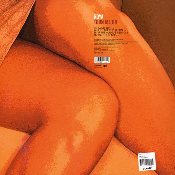 Roya - Turn Me On (VINYL) | Near Mint (NM) Near Mint (NM)-