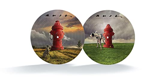 Rush - Signals (LTD 40th Anniversary Picture Disc) | Mint (M) Mint (M)-