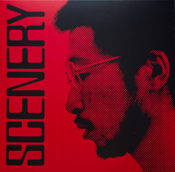 Ryo Fukui - Scenery (VINYL) | Mint (M) Mint (M)-