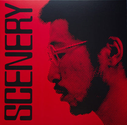 Ryo Fukui - Scenery (VINYL) | Mint (M) Mint (M)-