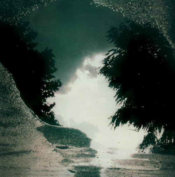 SAD LOVERS AND GIANTS - Feeding The Flame | Mint (M) Mint (M)-