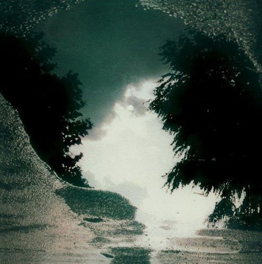 SAD LOVERS AND GIANTS - Feeding The Flame | Mint (M) Mint (M)-