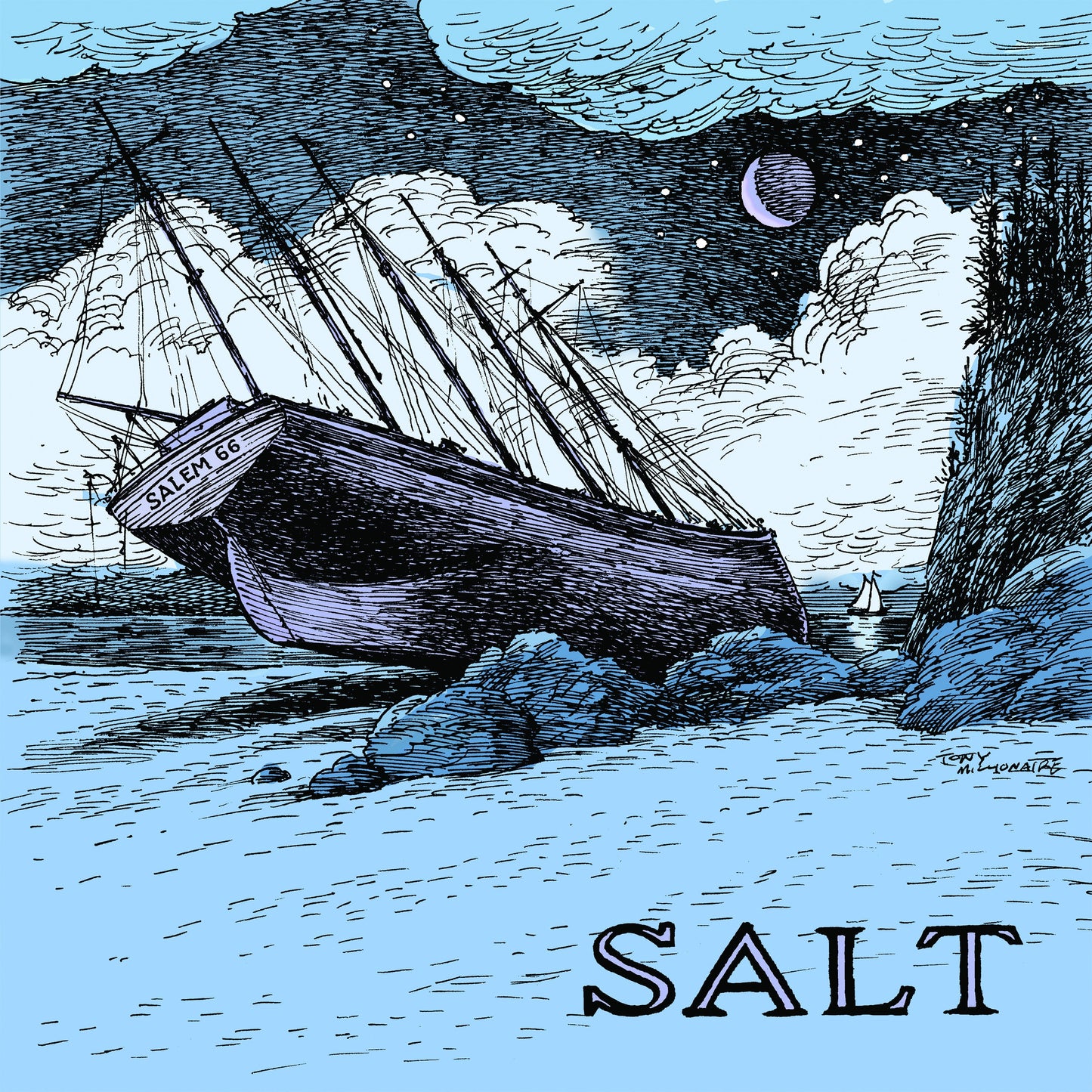 Salem 66 - Salt (CD) | Mint (M) Mint (M)-