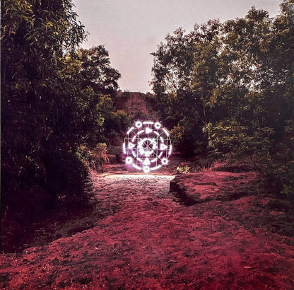 Sarathy Korwar - KALAK (VINYL) | Mint (M) Mint (M)-