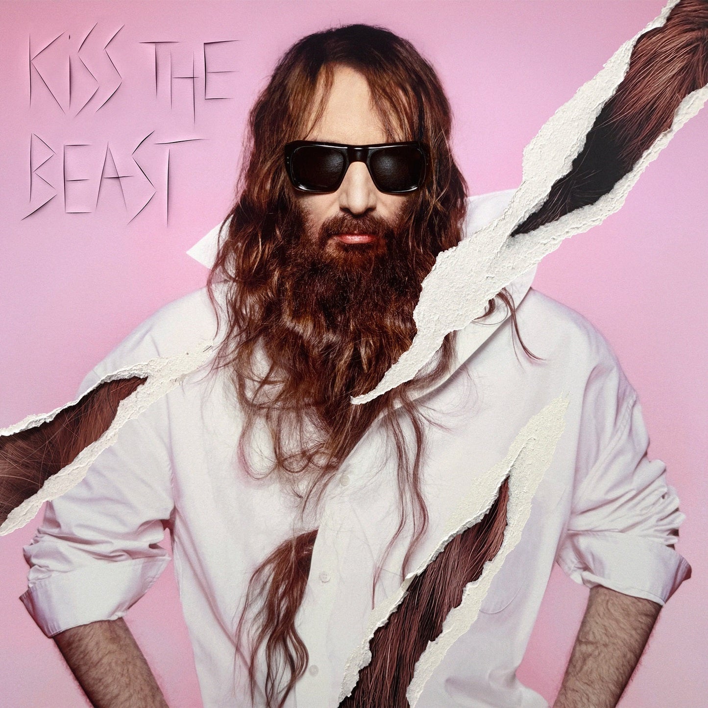Sébastien Tellier - Kiss The Beast (VINYL LP Because BEC5616675) | NEW-
