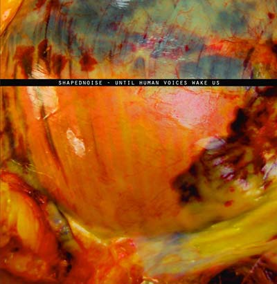 SHAPEDNOISE - Until Human Voices Wake Us [Import] | Mint (M) Mint (M)-