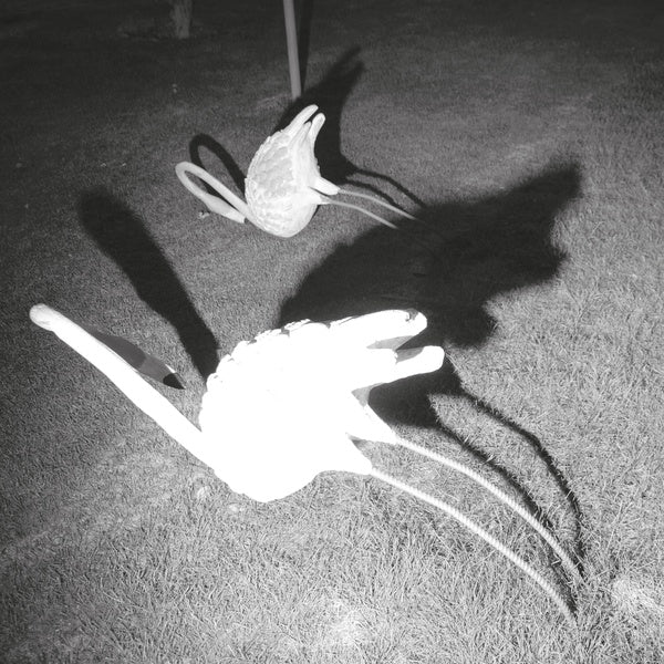 Siavash Amini - A Mimesis of Nothingness [Import] (WHITE VINYL) | Mint (M) Mint (M)-