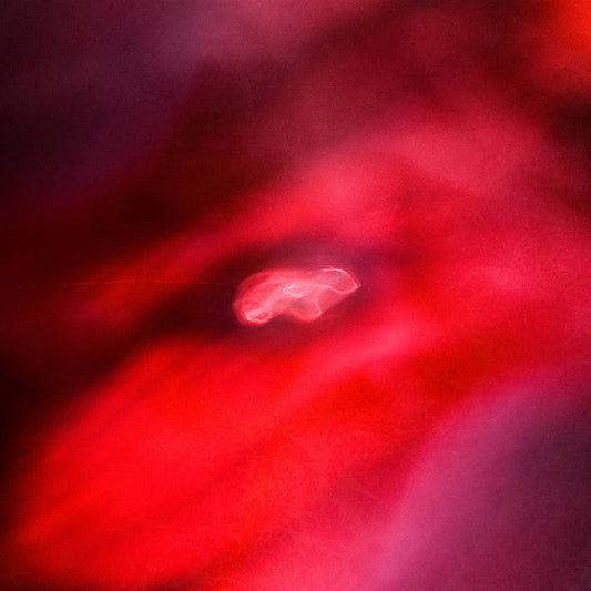 Siavash Amini + Saffronkeira - The Faded Orbit | Mint (M) Mint (M)-