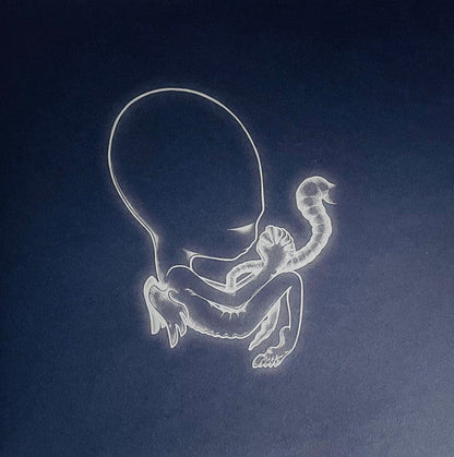 Sigur Rós - Ágætis Byrjun (COLOR VINYL - VMP) | Mint (M) Mint (M)-