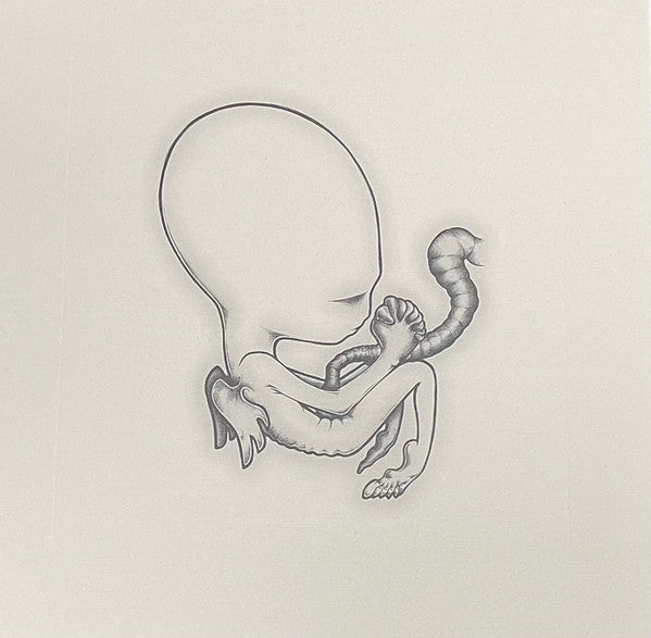 Sigur Rós - Ágætis Byrjun (COLOR VINYL - VMP) | Mint (M) Mint (M)-