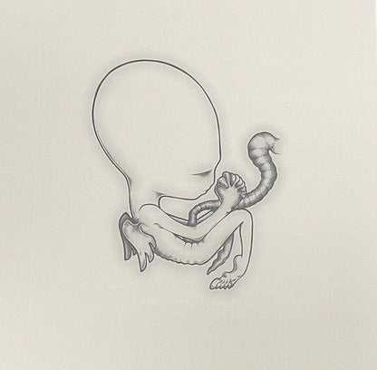 Sigur Rós - Ágætis Byrjun (COLOR VINYL - VMP) | Mint (M) Mint (M)-